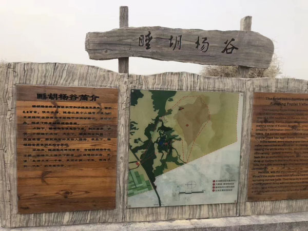 婚姻家庭糾紛中存在的常見問題有哪些？深圳找離婚的律師帶您了解