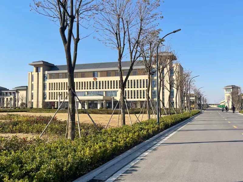 深圳婚姻專業律師為您解答在外國結婚效力中國法院承認嗎