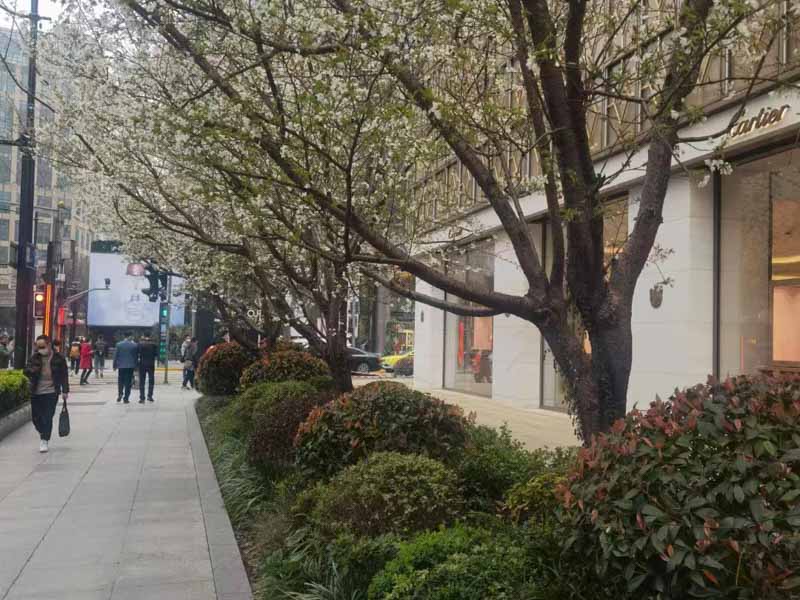 深圳離婚請律師費用為您介紹不動產婚內共同還貸及增值如何計算