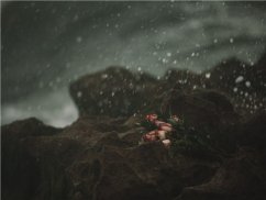 深圳華強(qiáng)北離婚律師